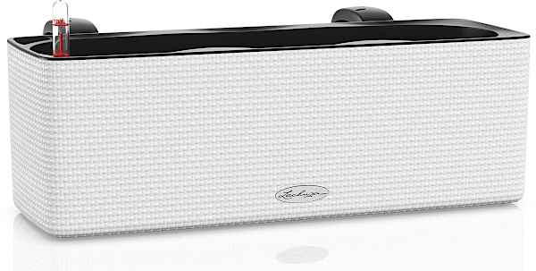 CUBE Color Triple White